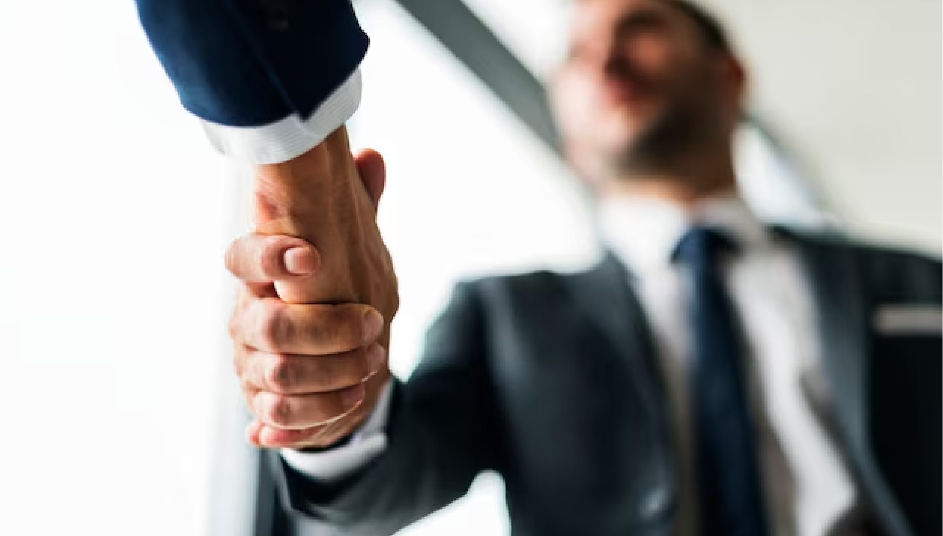 Clients trust our professional custom logo design services for quality results.